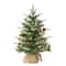 2ft. Pre-Lit Artificial Christmas Tree with Pine Cones in Burlap Sack, Warm White LED Lights